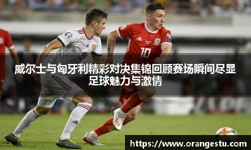 乐发v